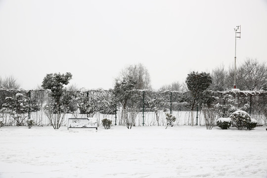 雪景