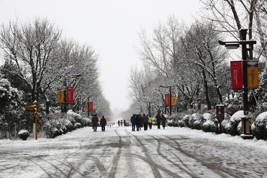 雪景
