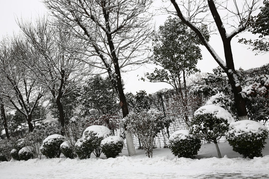 雪景