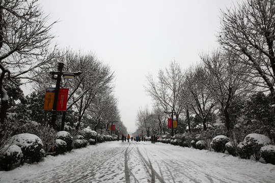 雪景