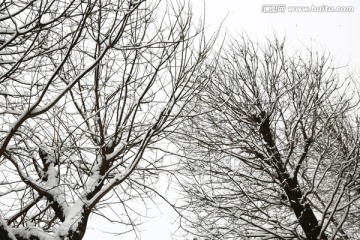 雪景