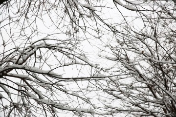 雪景