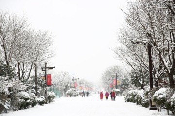 雪景