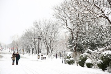 雪景