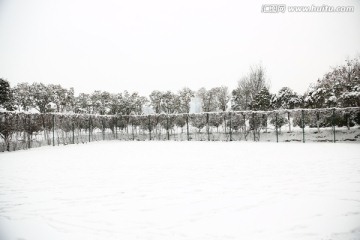 雪景