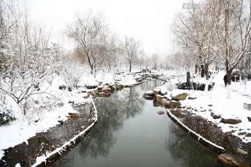 雪景