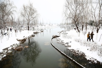 雪景