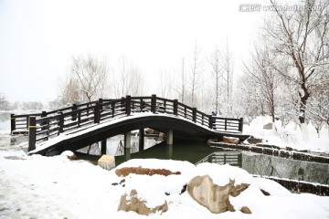 雪景
