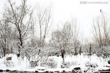 雪景