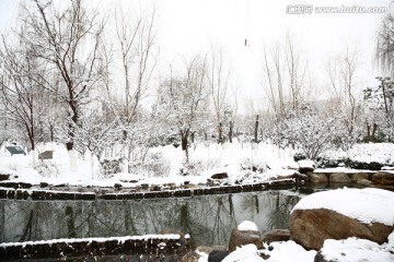 雪景