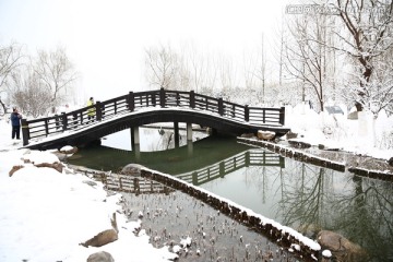 雪景