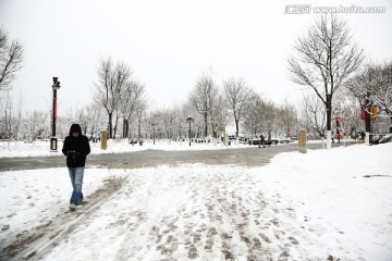 雪景
