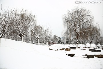 雪景