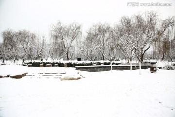雪景