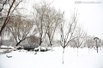 雪景