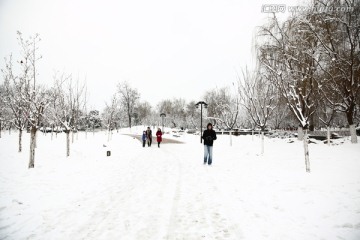 雪景