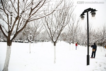 雪景