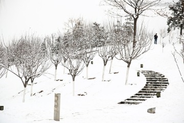 雪景