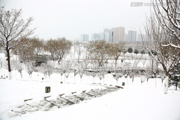 雪景