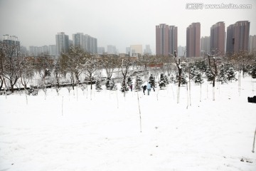 雪景