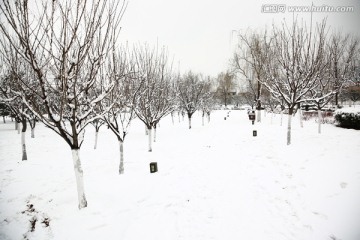 雪景