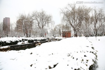 雪景