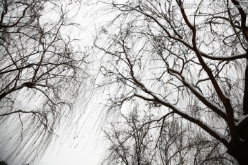 雪景