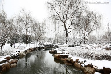 雪景