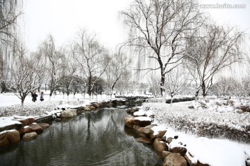 雪景