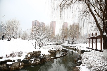 雪景