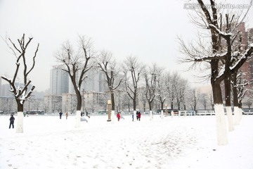 雪景