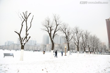雪景