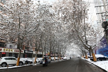 雪景