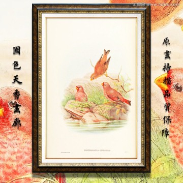 高清花鸟油画 画廊专用