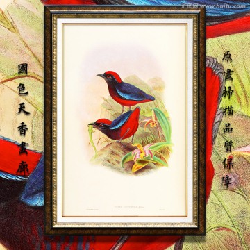 古典花鸟油画 画廊品质