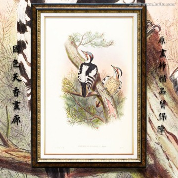 古典花鸟油画 画廊品质