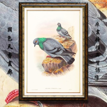 鸽子 花鸟风景油画 高清品质