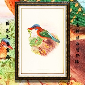 翠鸟 高清花鸟油画