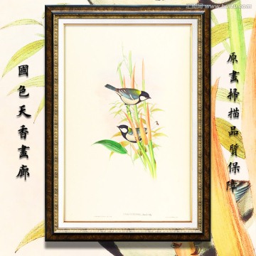 手绘花鸟 画廊品质