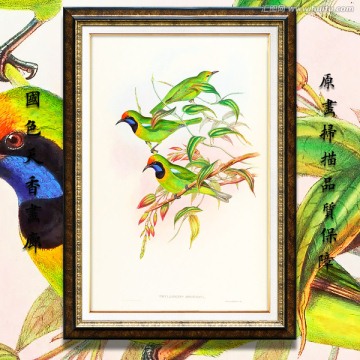 鸟类油画 高清品质