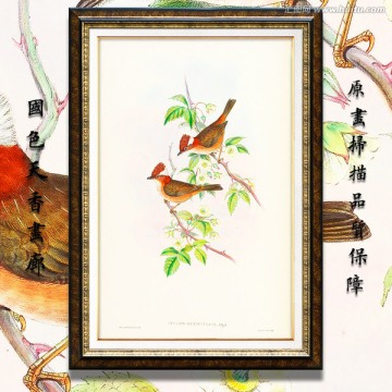 手绘花鸟装饰画 画廊高清品质