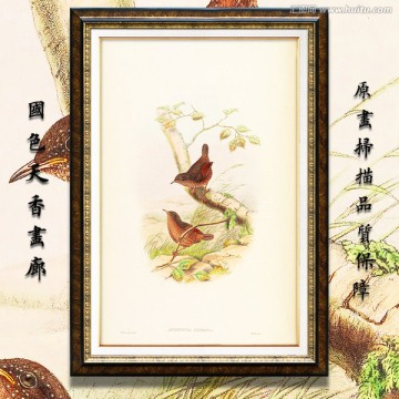 美克美家花鸟油画 画廊品质