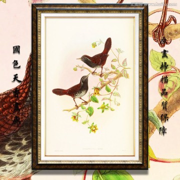 美克美家花鸟油画 画廊品质