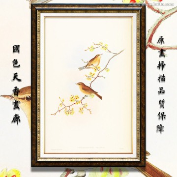 美克美家花鸟油画 画廊品质