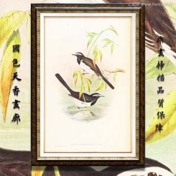 美克美家花鸟油画 画廊品质