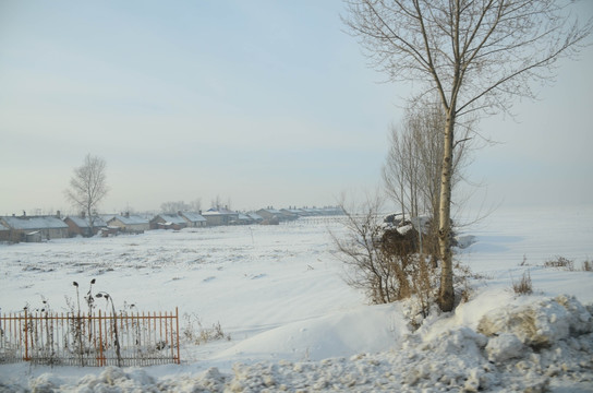 雪地