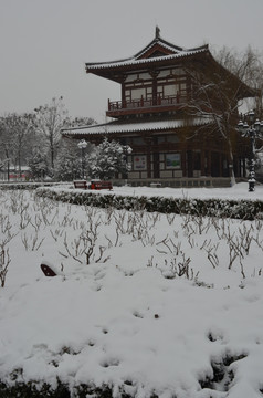 青龙寺