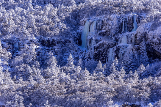 雪景 昆明轿子雪山