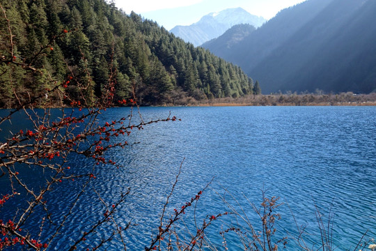 九寨沟老虎海