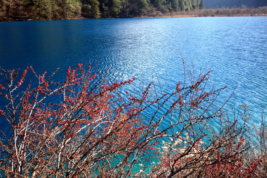 九寨沟 老虎海